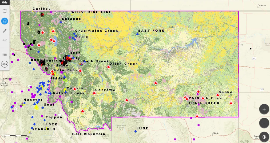 Montana Situation Analyst